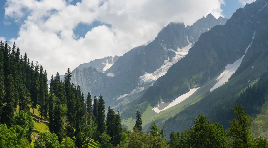 Kashmir